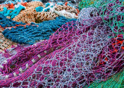 تور ماهیگیری