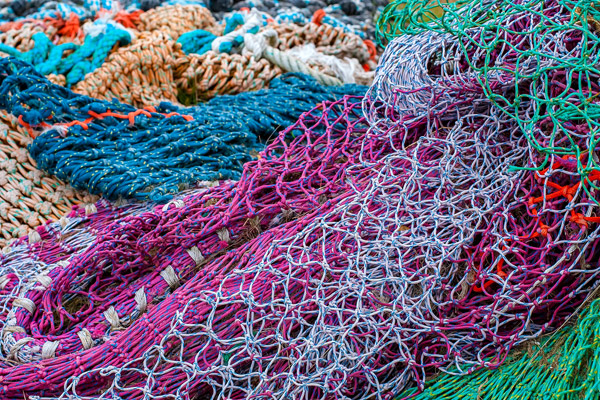 تور ماهیگیری